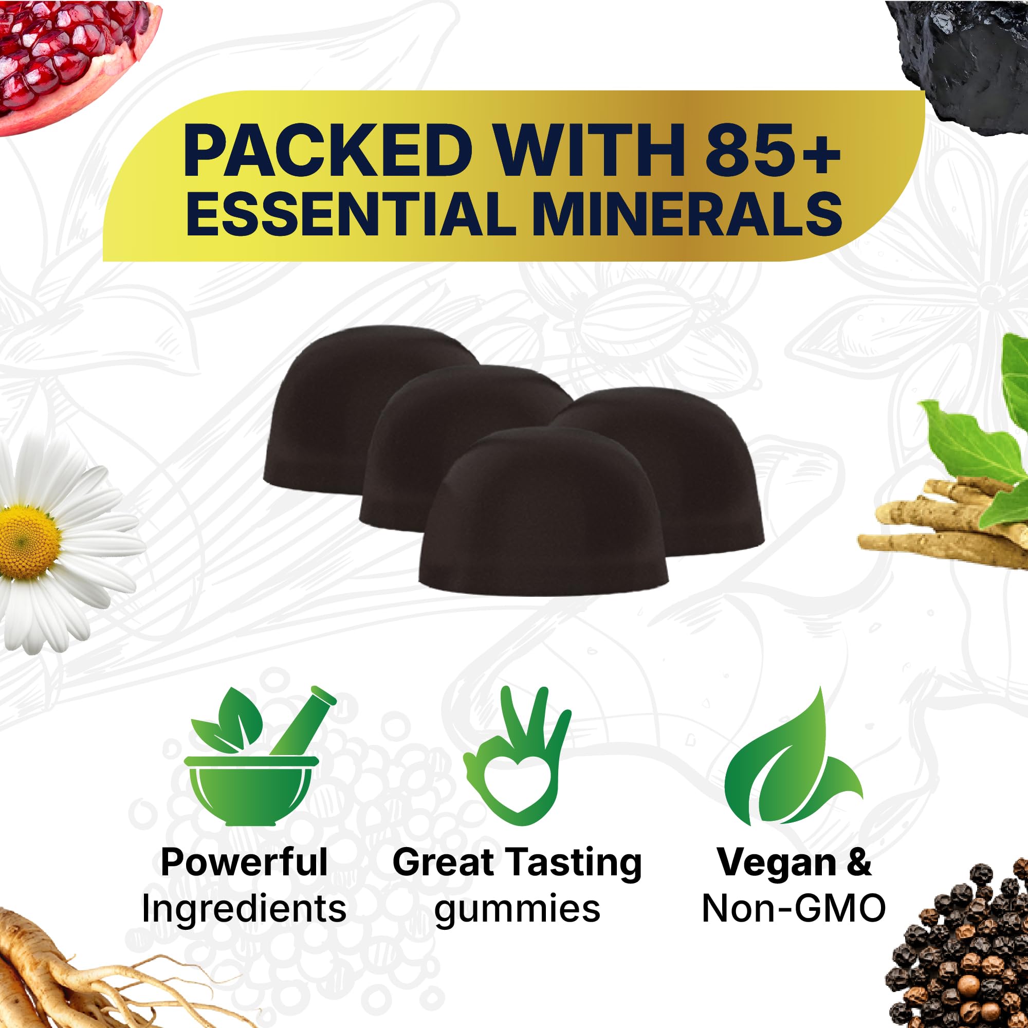 Close-up of three dome-shaped Suppniya Shilajit gummies with botanical ingredients